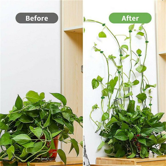 10 pc Leaf shaped sticky clips to hold your climbing plants in style - Picture 11 of 15